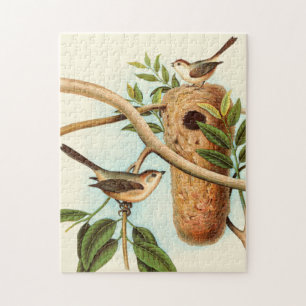 Puzzle Pareja de pájaro en un nido posada en una rama