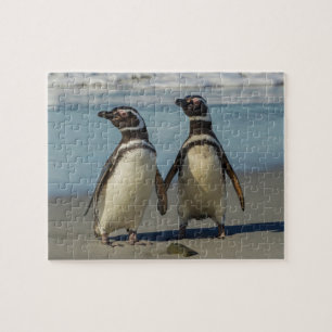 Puzzle Pareja de pingüinos en la playa