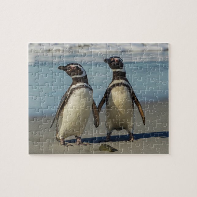 Puzzle Pareja de pingüinos en la playa (Horizontal)