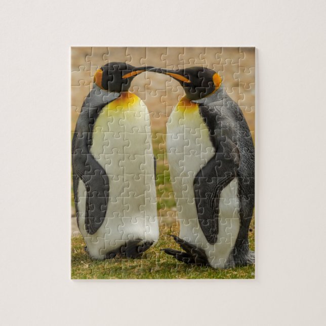 Puzzle Pareja de Pingüinos Reyes, Malvinas (Vertical)