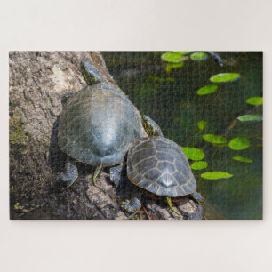 Puzzle Pareja de Tortugas Pintadas