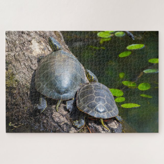 Puzzle Pareja de Tortugas Pintadas (Horizontal)