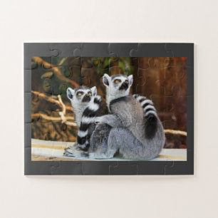 Puzzle Pareja Lemur