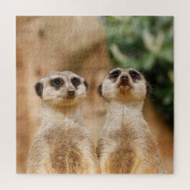 Puzzle Pareja Meerkat 003