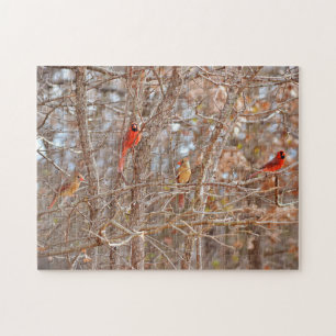 Puzzle Parejas de pájaro cardenales caen en la naturaleza