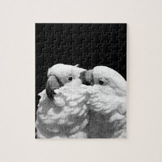 Puzzle Pares de cockatoos del paraguas