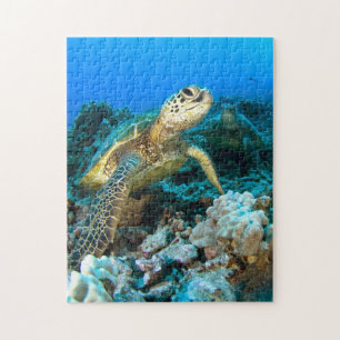 Puzzle Pares de la tortuga