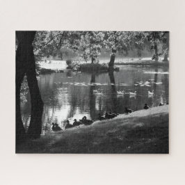 Puzzle Park Life 16x20 520pc jpcna