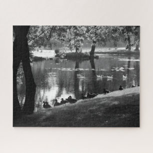 Puzzle Park Life 16x20 520pc jpcna