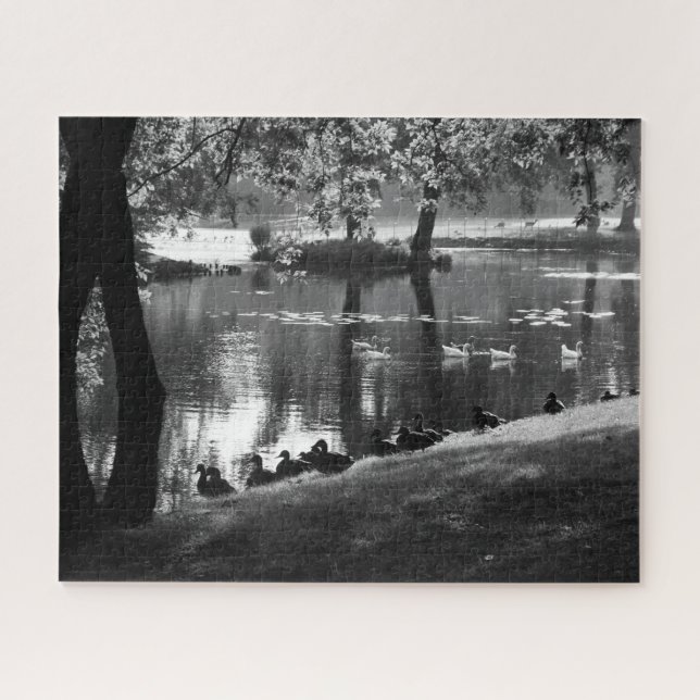Puzzle Park Life 16x20 520pc jpcna (Horizontal)