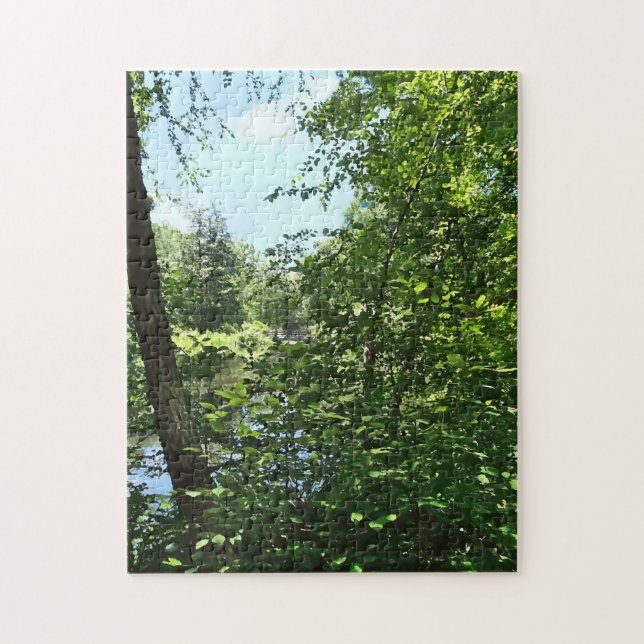 Puzzle Park with Bridge in Distance (Vertical)