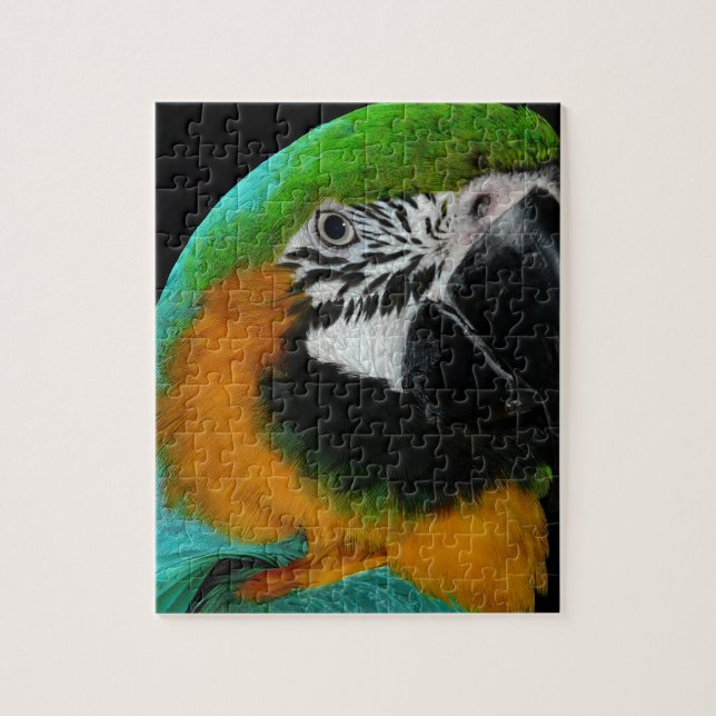 Puzzle Paro (Vertical)