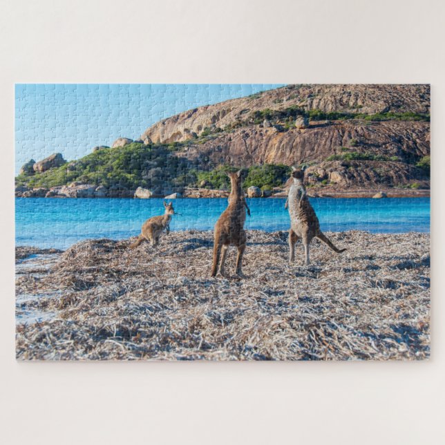 Puzzle Paro canguro en la playa, 1014 piezas (Horizontal)