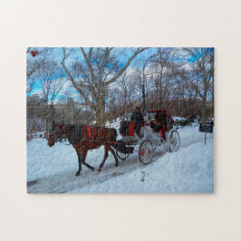 Puzzle Parque Central