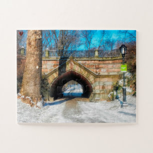 Puzzle Parque Central