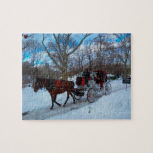Puzzle Parque Central