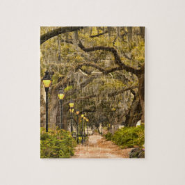 Puzzle Parque de Forsyth - foto, sabana, Georgia (GA) los