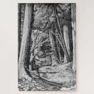 Puzzle Parque de la secoya