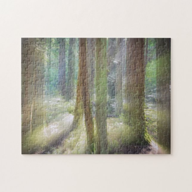 Puzzle Parque Estatal Scenic Beach (Horizontal)