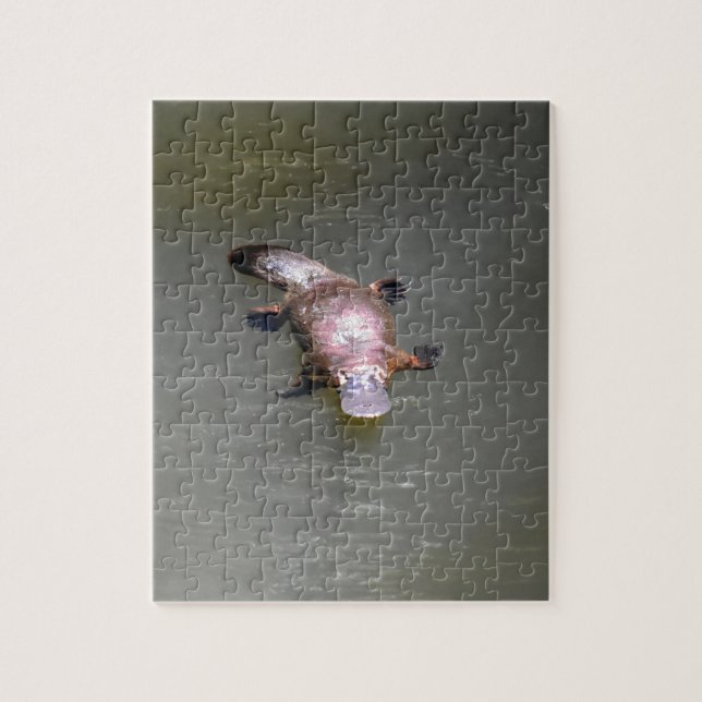 PUZZLE PARQUE NACIONAL AUSTRALIA DE PLATYPUS EUNGELLA (Vertical)