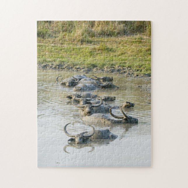 Puzzle Parque nacional Búfalo de Agua Kaziranga. (Vertical)