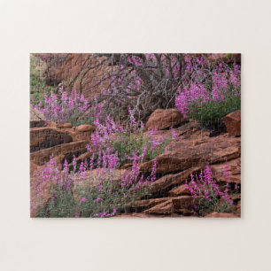 Puzzle Parque Nacional Capitol Reef, Utah, EE. UU.