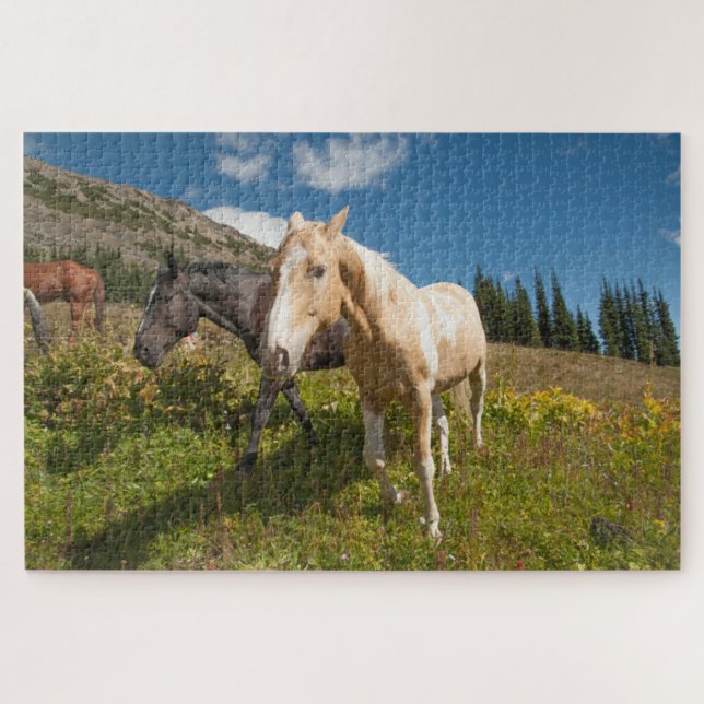 Puzzle Parque nacional Cascades del Norte (Horizontal)