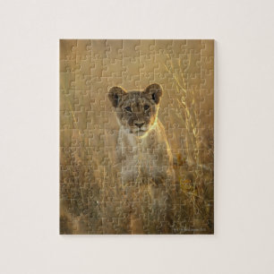 Puzzle Parque nacional de Cub de león el   Hwange,