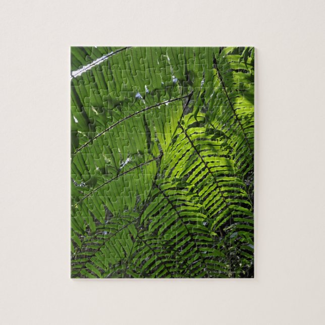 Puzzle Parque nacional de las mamáes de Bach (Vertical)