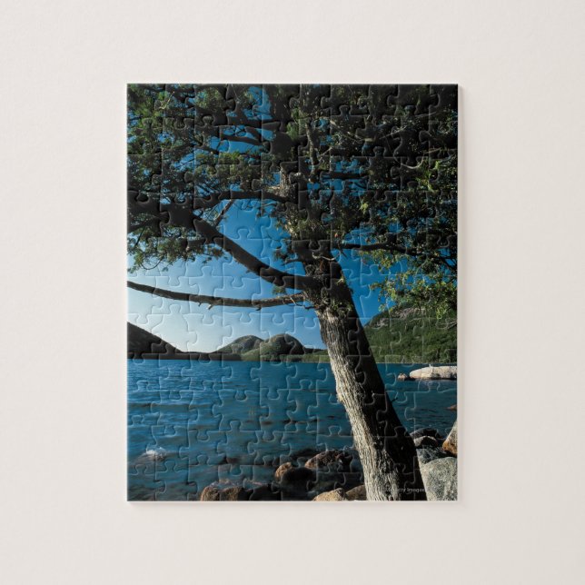 Puzzle Parque nacional del Acadia, charca de Londres, (Vertical)
