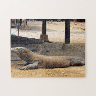 Puzzle Parque Nacional del Dragón de Komodo de Indonesia.