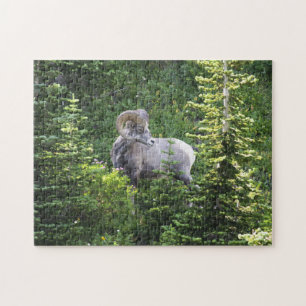 Puzzle Parque Nacional Glaciar Jigsaw Montana.