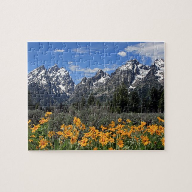 Puzzle Parque nacional magnífico de Teton (Horizontal)