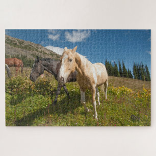 Puzzle Parque Nacional North Cascades