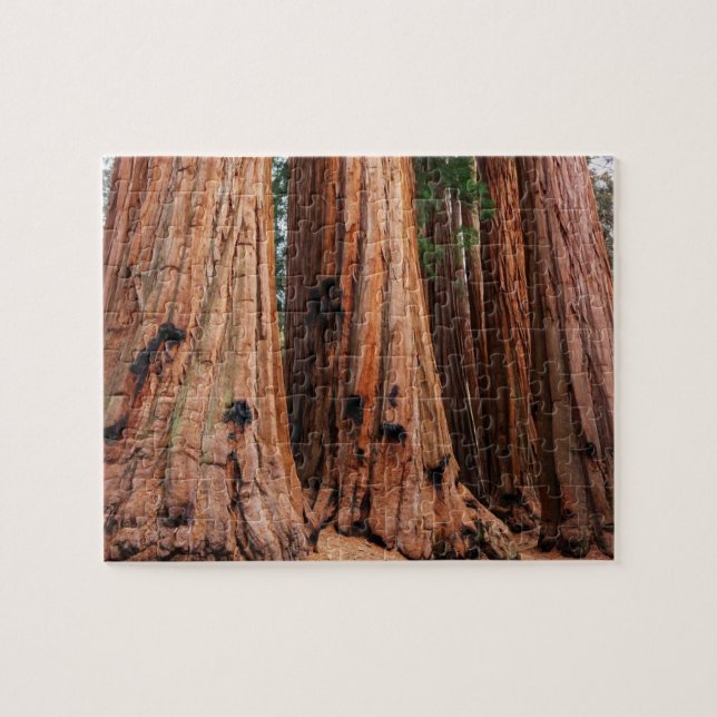 Puzzle Parque nacional Sequoia (Horizontal)