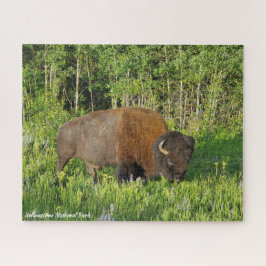 Puzzle Parque nacional Yellowstone Bison