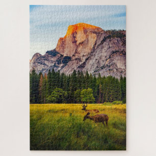 Puzzle Parque Nacional Yosemite California Montaña Vida S
