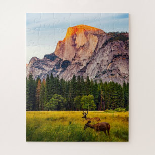 Puzzle Parque Nacional Yosemite California Montaña Vida S
