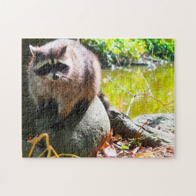 Puzzle Parque Raccoon Stanley en Vancouver. (Horizontal)