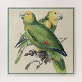 Puzzle Parrots de Amazona - aves de cosecha
