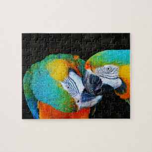Puzzle Parrots - Mejores amigos