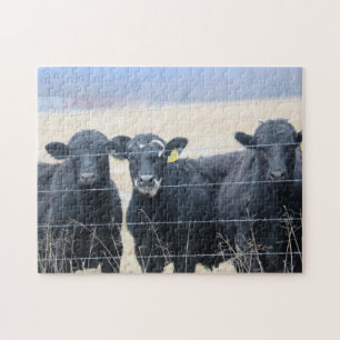 Puzzle Pasajeros bovinos