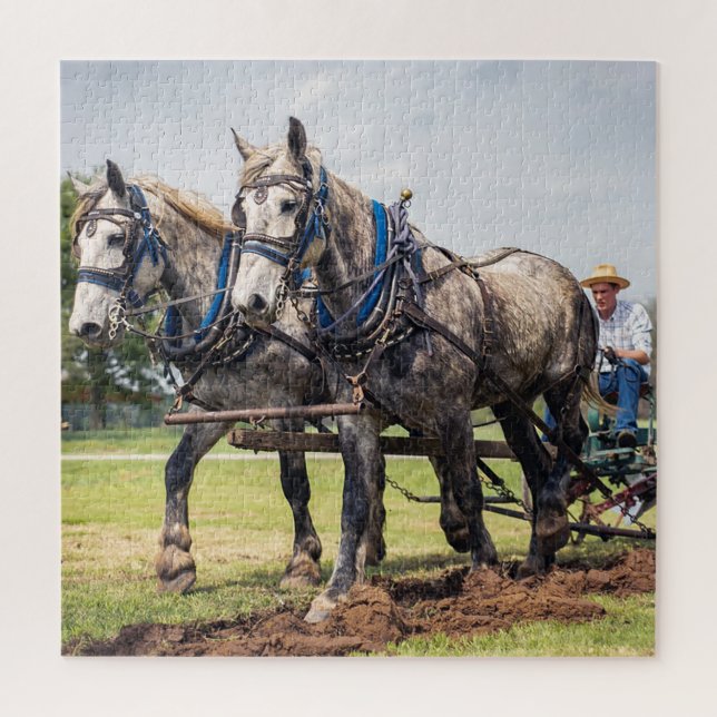 Puzzle Paseando El Campo (Vertical)