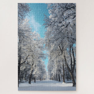 Puzzle paseo de invierno por el parque