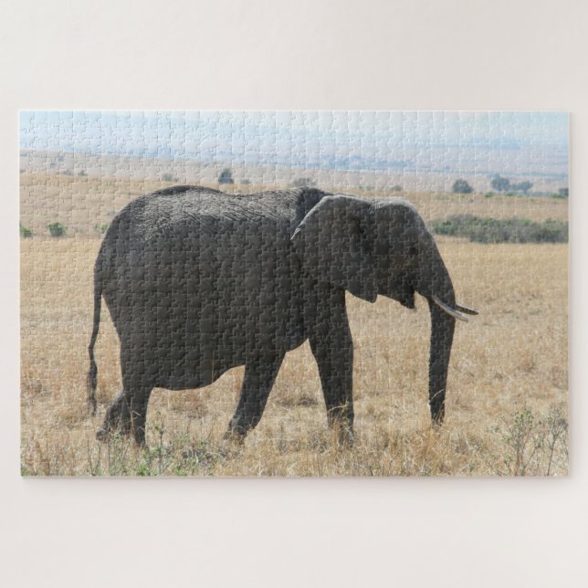Puzzle paseo elefante (Horizontal)