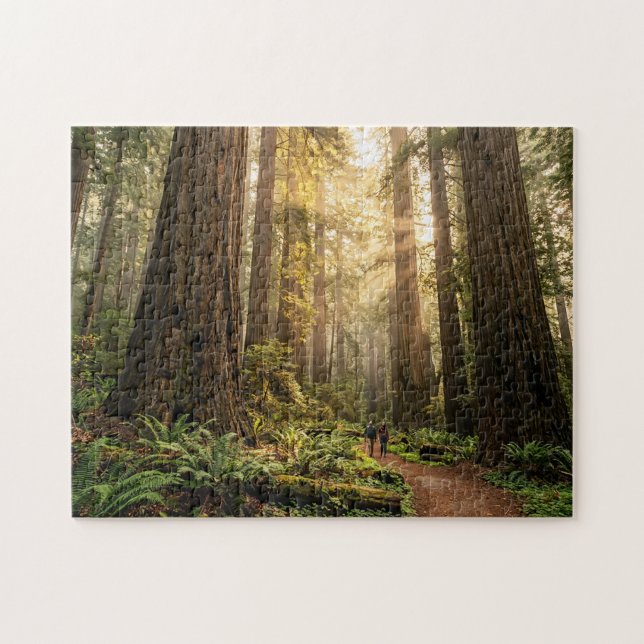 Puzzle Paseo por el bosque (Horizontal)