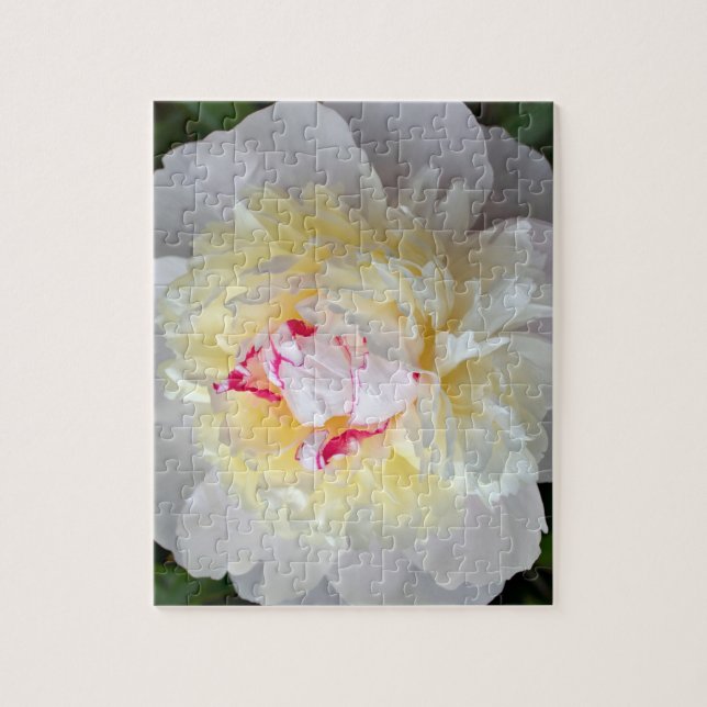 Puzzle Pasión Peony (Vertical)