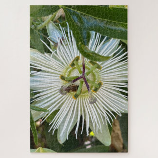 Puzzle Pasionaria blanca con abeja, Oakland