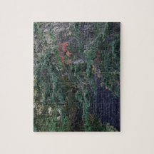 Pasos del bosque a principios de otoño