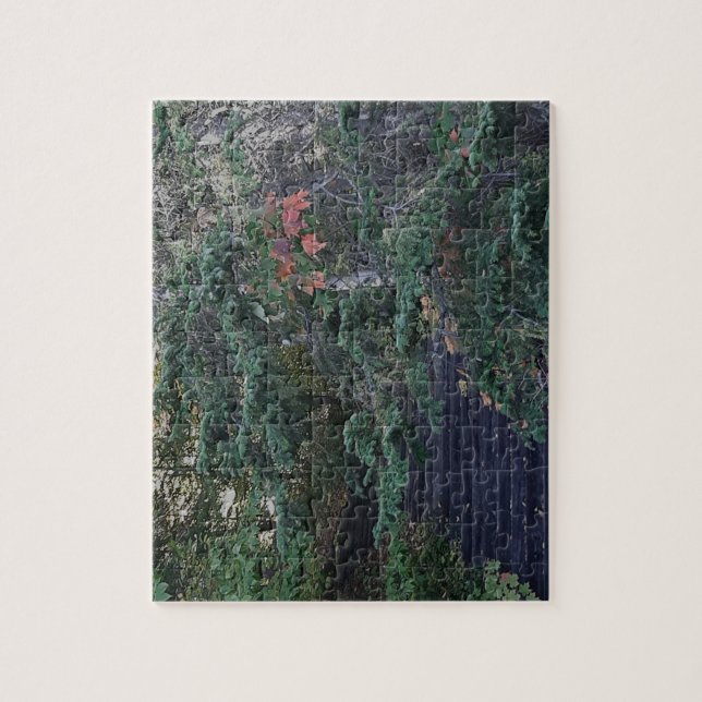 Puzzle Pasos del bosque a principios de otoño (Vertical)